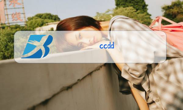 ccdd 冬装 2018 外套图片